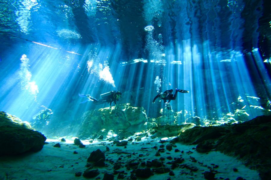 Dive into the Underwater Wonders of Cozumel and the Riviera Maya