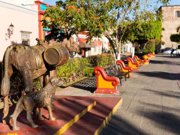 Tour Jalisco's Agave Fields and Distilleries