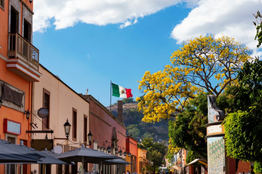 Tour Jalisco's Agave Fields and Distilleries